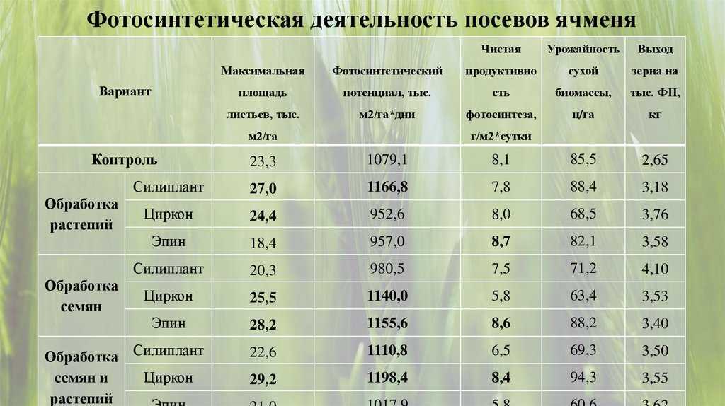 Ячмень культурный | справочник пестициды.ru