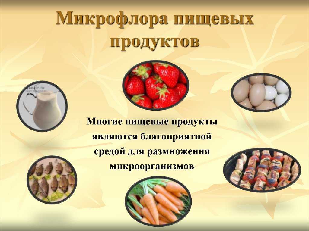 Что выделяется при гниении мяса. гниение мяса: что происходит и как его определить