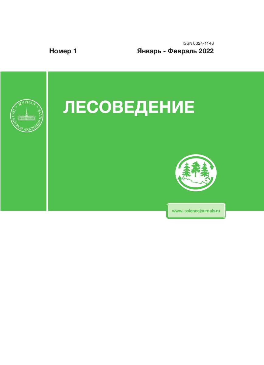 Уход за лесными культурами: что это такое и правила