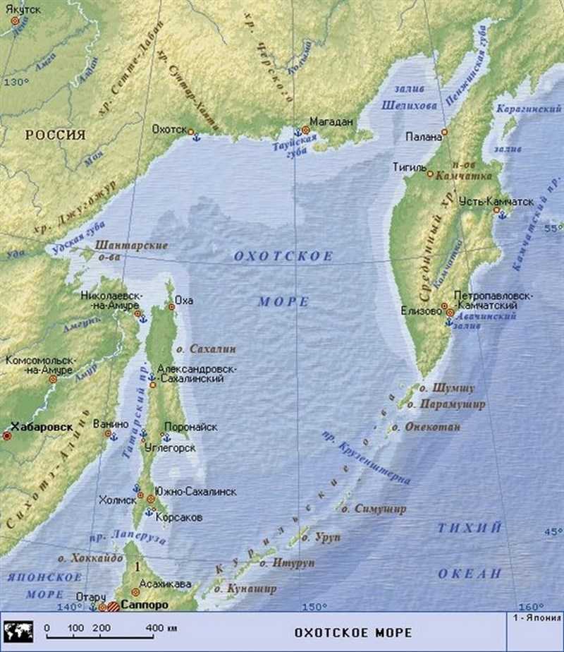 Охотское море – карта, флора, фауна, климат охотского моря - lowis