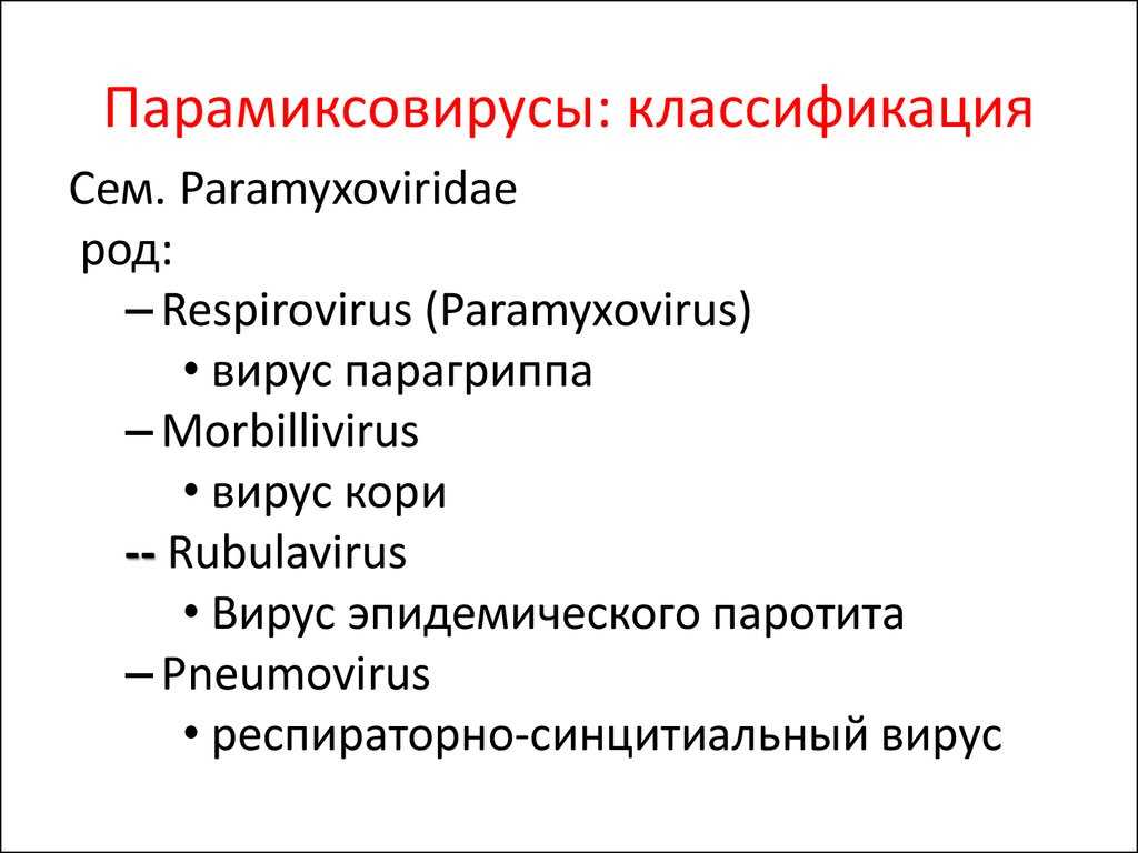 Парамиксовирусы