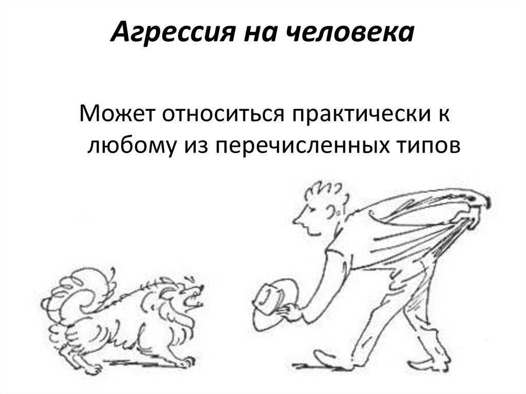 Поведение агрессивное
