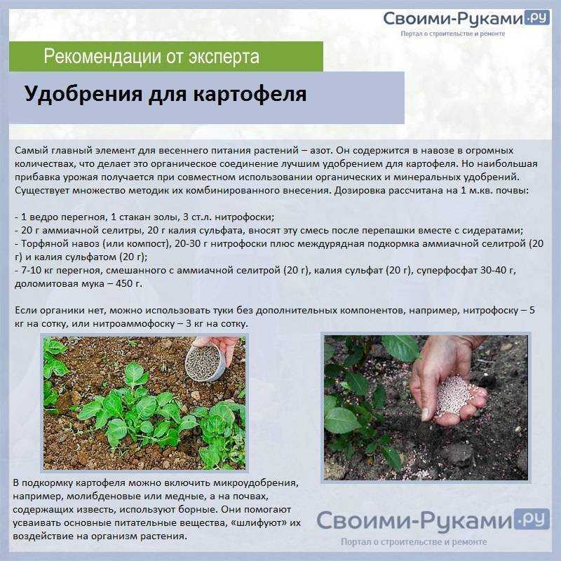 Удобрения для картофеля — органические и минеральные