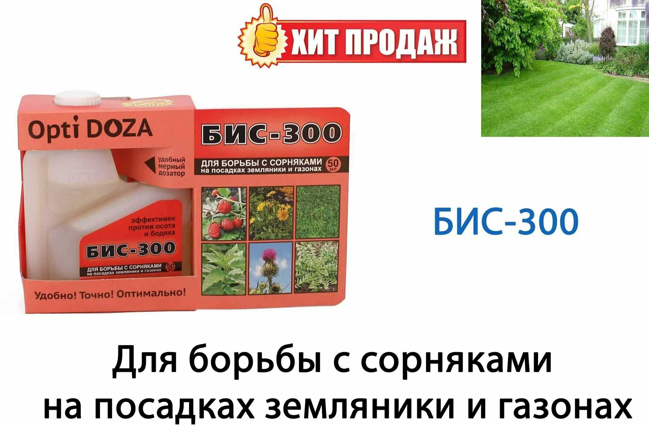 Корнеотпрысковые сорняки — сад и огород