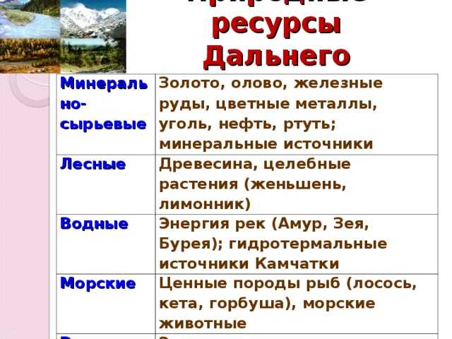 Животные дальнего востока. какие животные обитают на дальнем востоке? заповедное приморье: край редких кошек, первозданной тайги и морских оазисов животные приморского края изюбрь