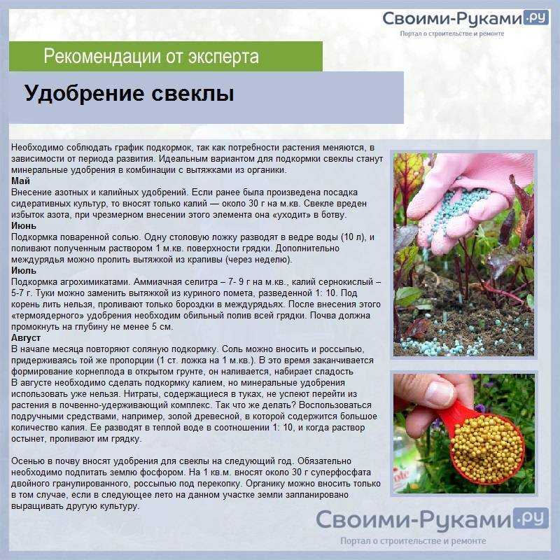 Совершенствование технологии хранения корнеплодных овощей | статья в журнале «молодой ученый»