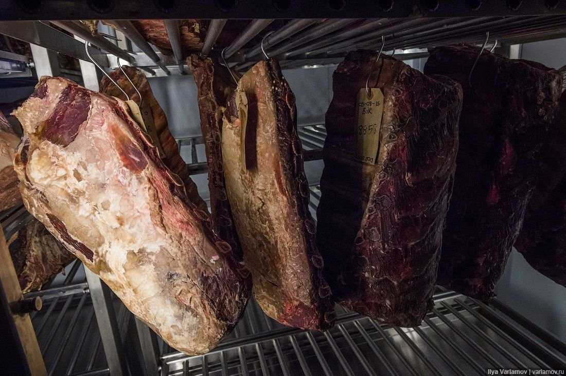 Рейтинг лучших шкафов для вызревания мяса на 2023 год