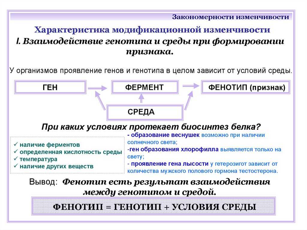 Закономерности изменчивости. ненаследственная и наследственная изменчивость. виды мутаций - организм как биологическая система