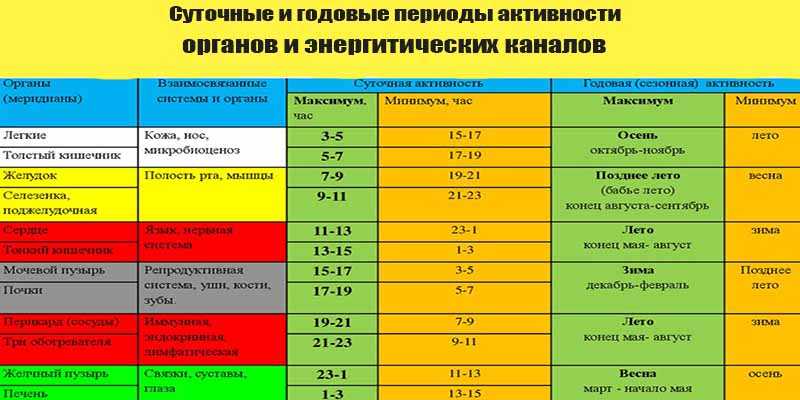 Биоритмы человека
