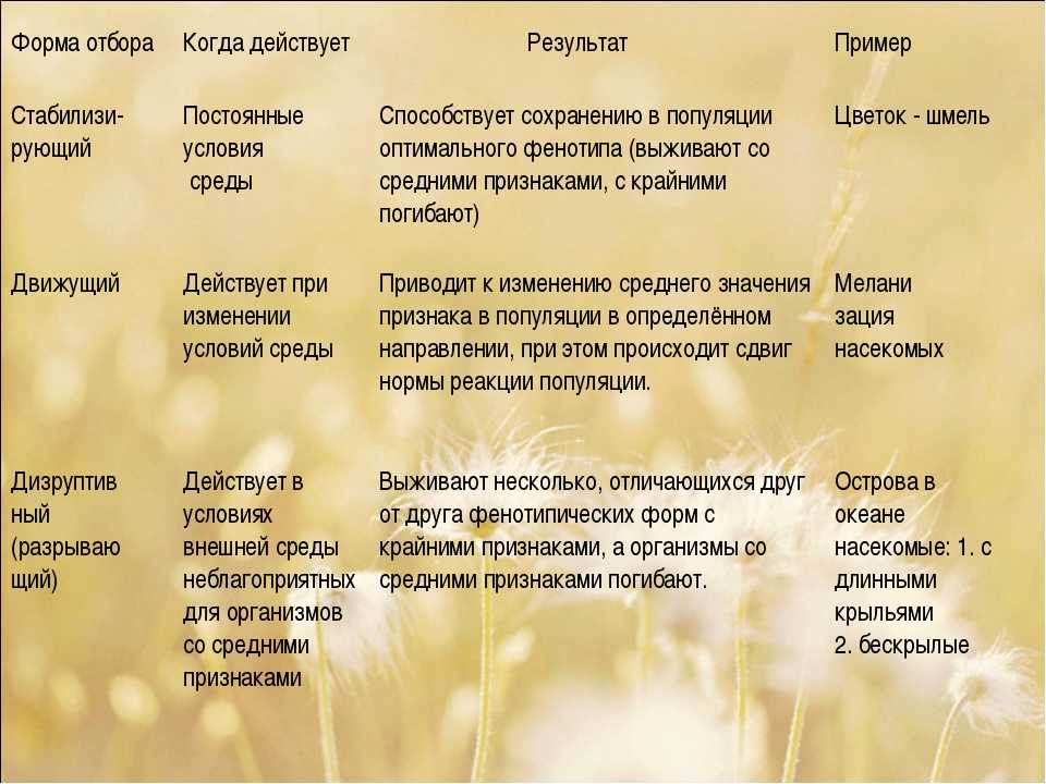 Разведение сельскохозяйственных животных