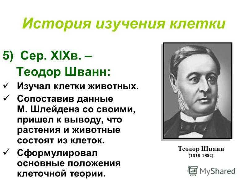 Шванн и шлейден годы жизни. теодор шванн вклад в биологию