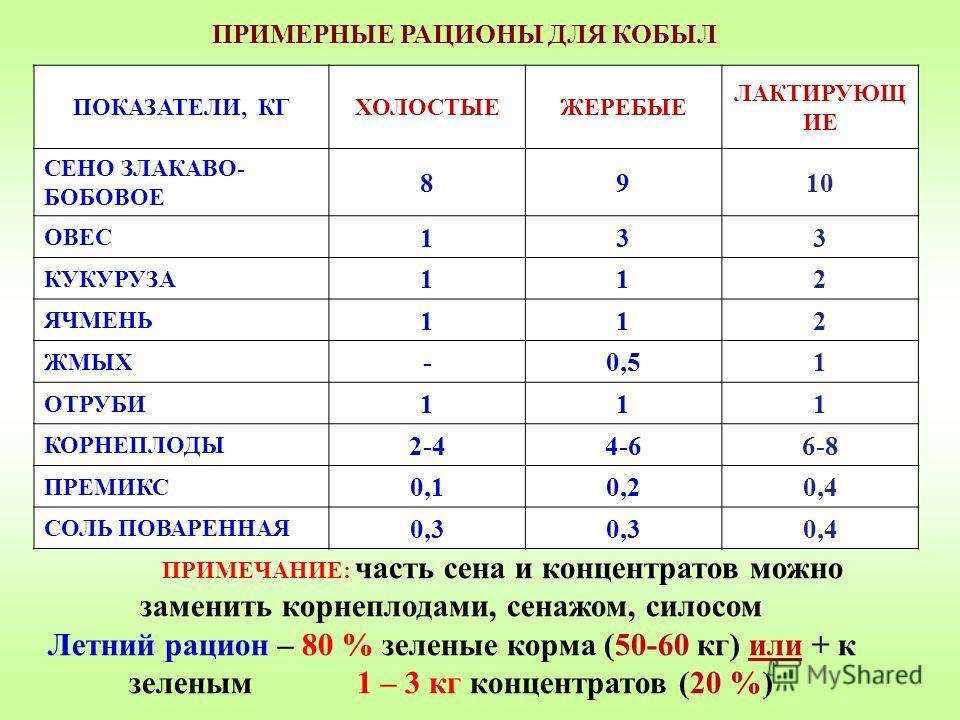 Кормление и поение лошади
