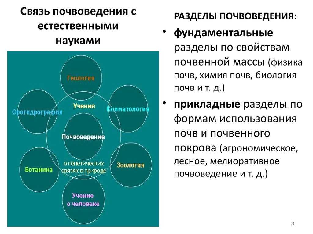 Почвоведение в географии: понятие, методы изучения и значение