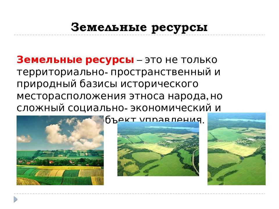 Земельные, водные, биологические ресурсы планеты 10 класс онлайн-подготовка на ростелеком лицей | тренажеры и разбор