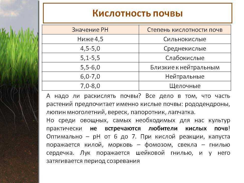 Почвы и их улучшение