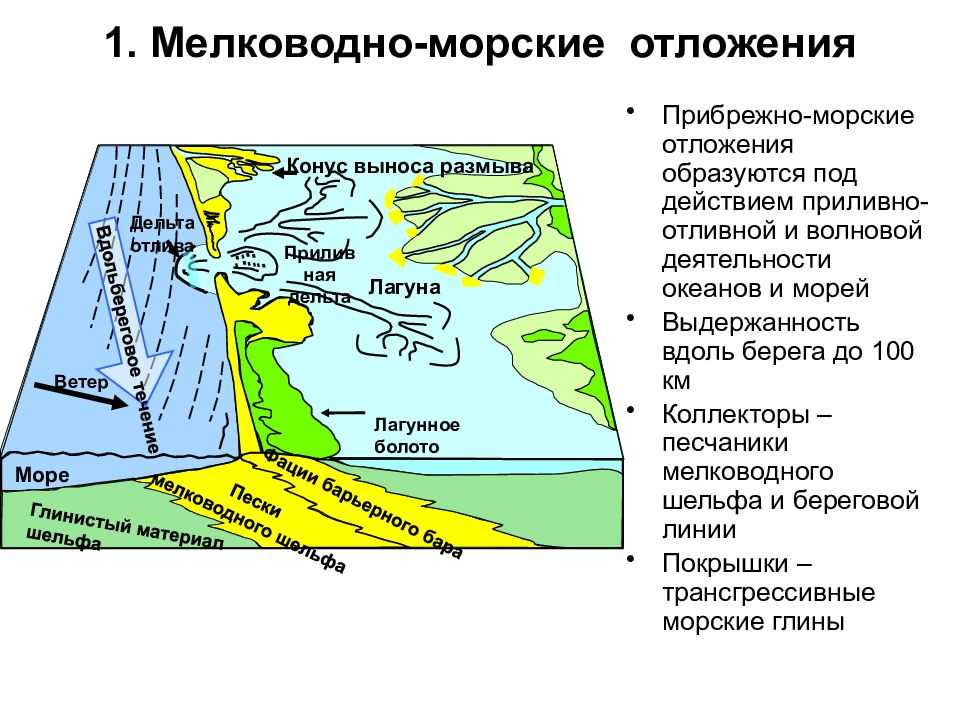 Классификация морских отложений реферат