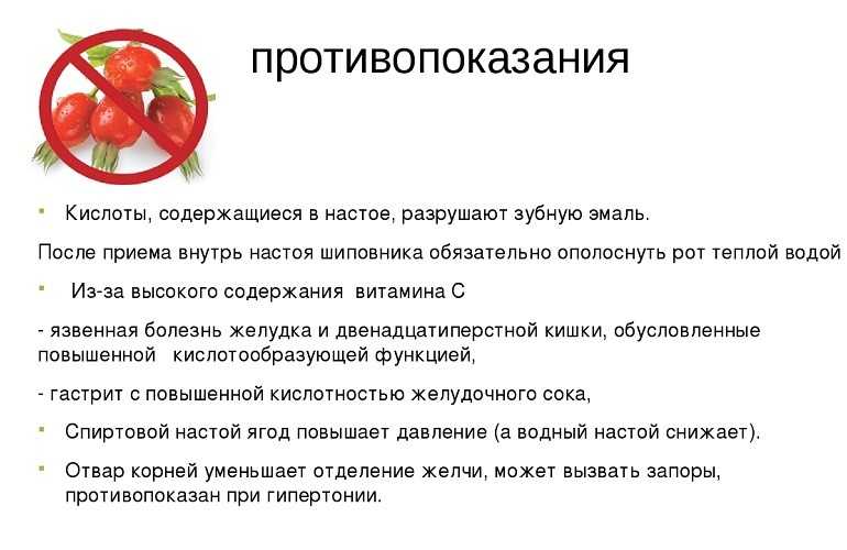 Чем полезен шиповник? противопоказания и полезные свойства шиповника | сад и огород.ру