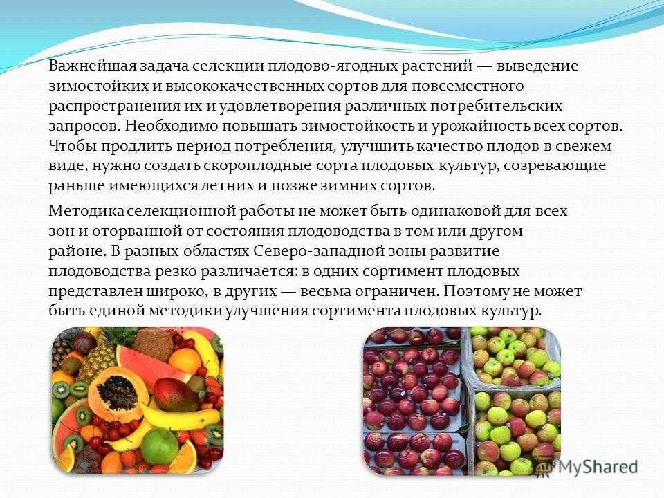 Плодоводство - размножение плодовых и ягодных растений