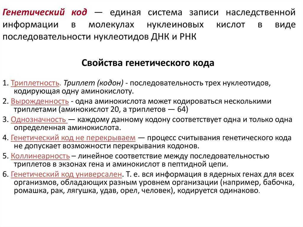 Уроки биологии в классах
        естественно-научного профиля
