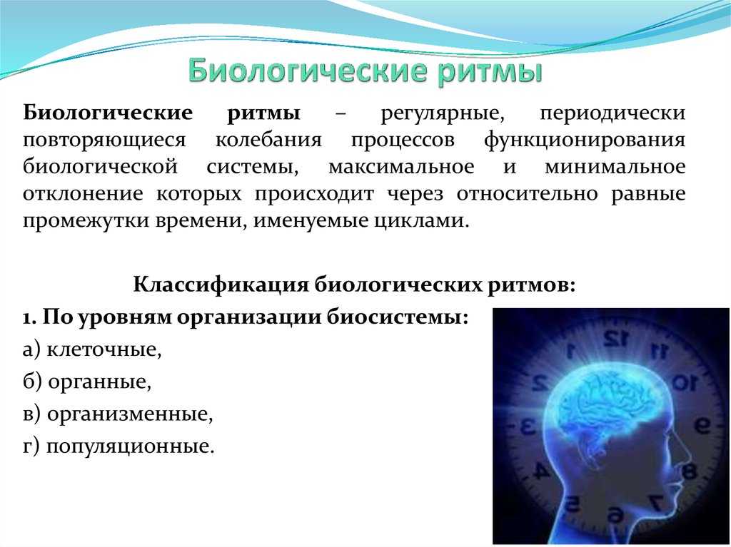 Суточные ритмы растений