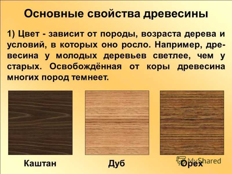 Структура и свойства древесины - древесина