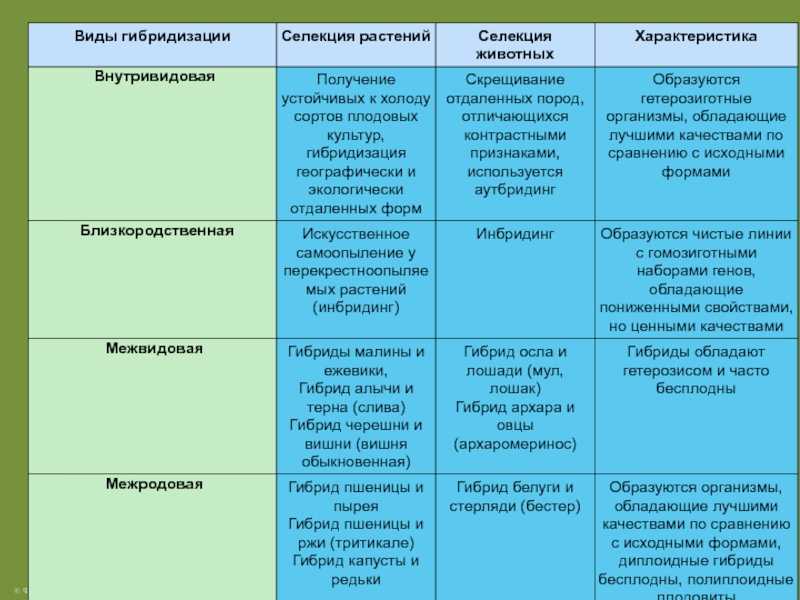 Применение математических методов анализа в селекции гороха овощного