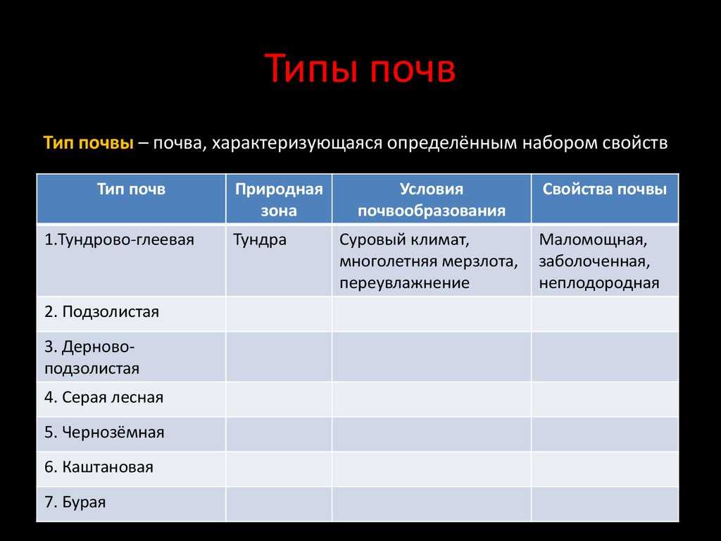 Почвообразование (педогенез) - определение, факторы, процесс, этапы, примеры