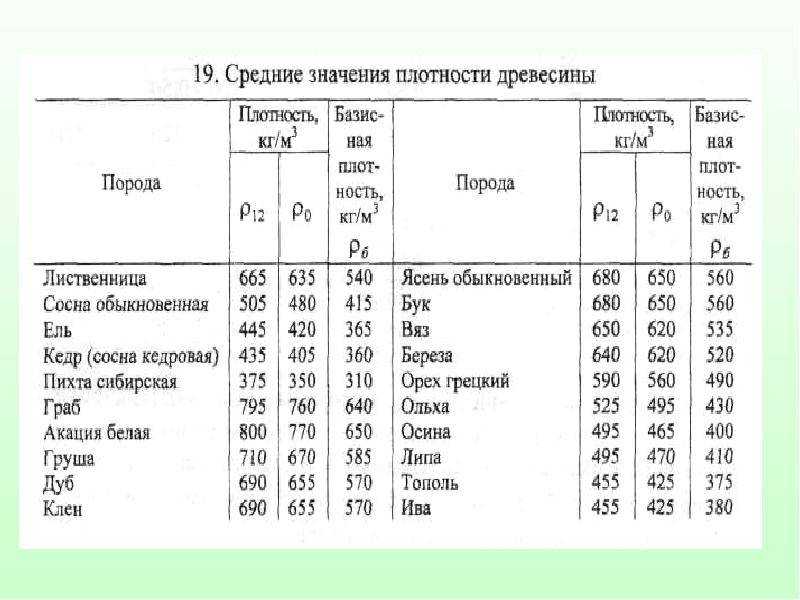 Породы древесины — сравнительная таблица характеристик