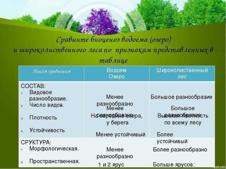 Прибрежная зона: определение и характеристики | fissi
