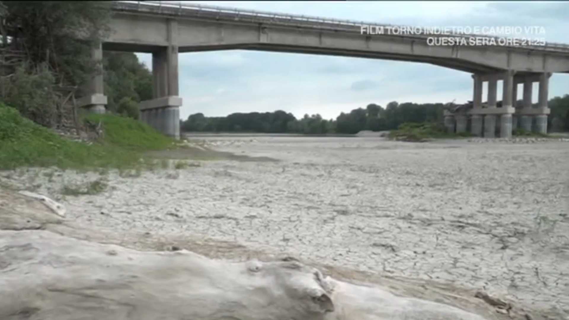Каневское водохранилище - википедия