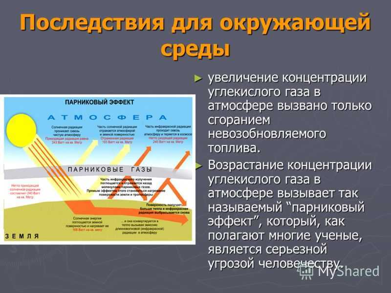 Какое дерево выделяет больше кислорода?