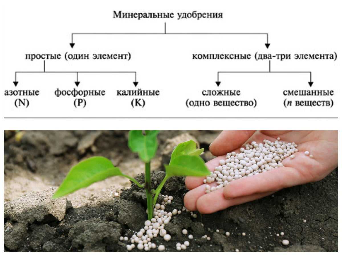 Химические проблемы агроэкологии