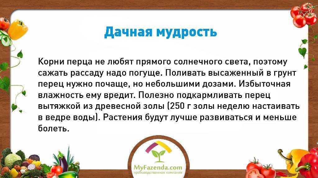 От чего помогает отвар камыша. камыш - лечебные свойства. сироп из камыша