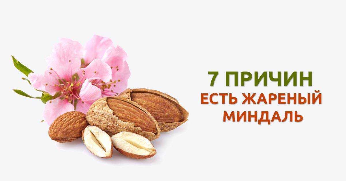 Как растет миндаль