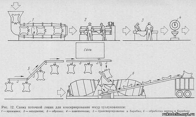 Правила консервации и хранения шкур