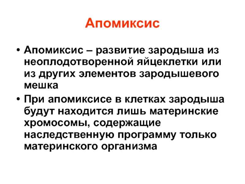 Апомиксис