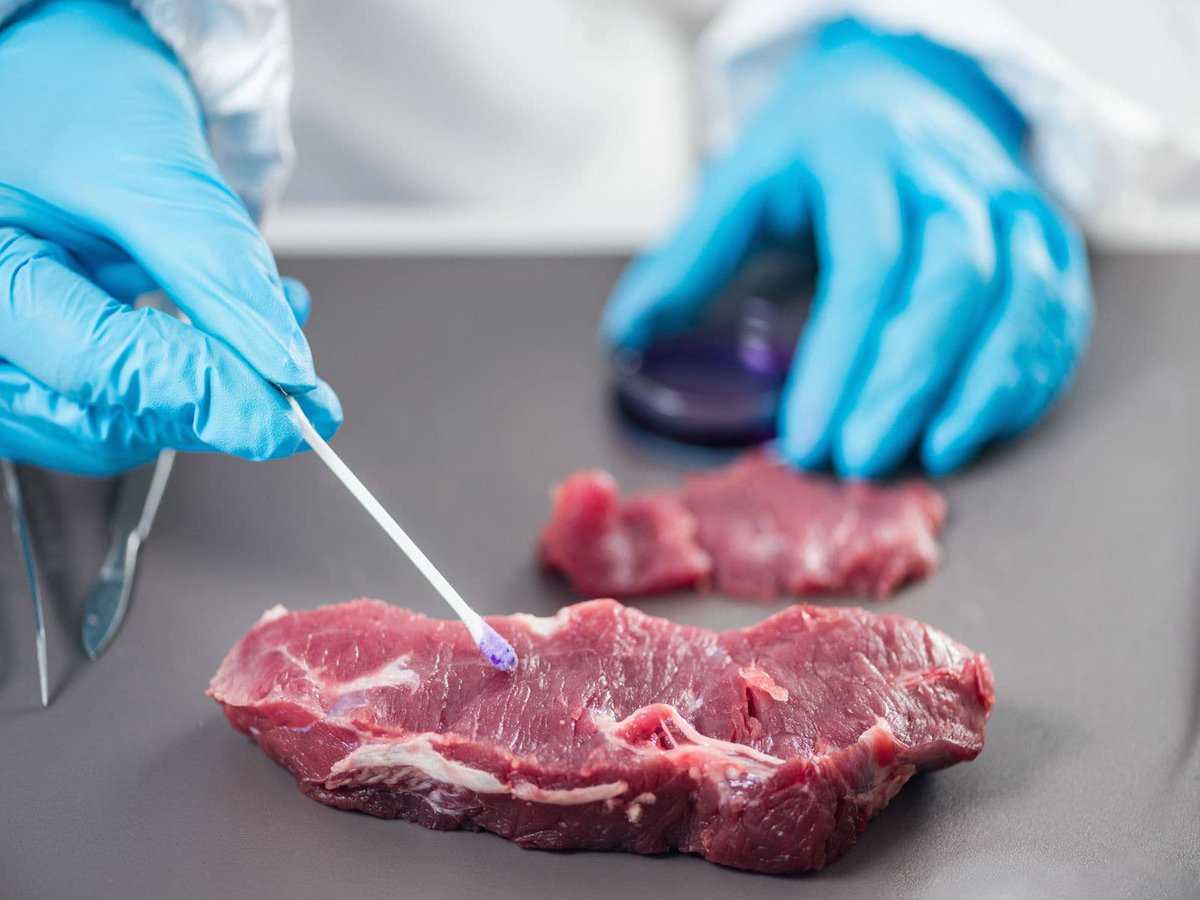 Способ обработки слизистых и шерстных субпродуктов. советский патент 1949 года su 80339 a1. изобретение по мкп c14c1/06 .