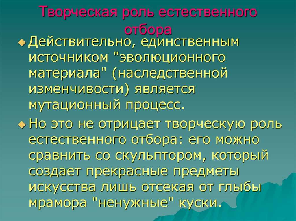 Презентация на тему естественный отбор (10 класс)