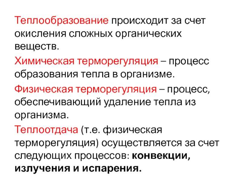 Теплообмен человека