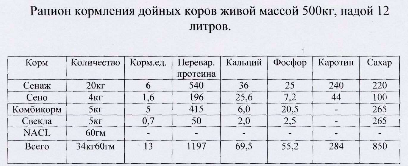 Раздой коров после отела из домашнего стада, методы раздоя