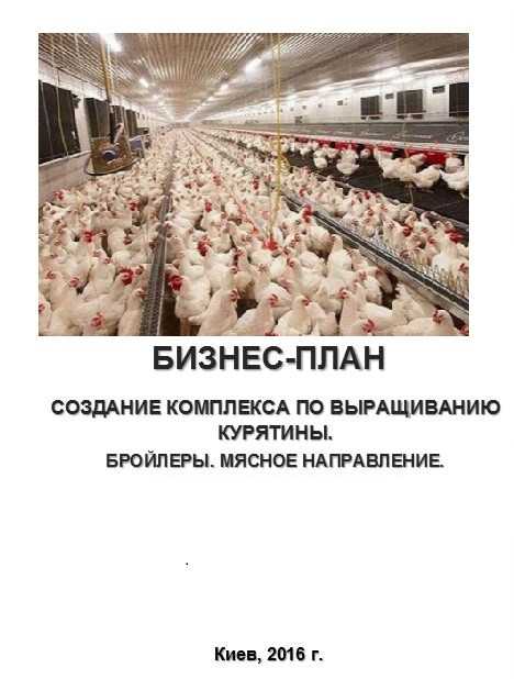 Мой бизнес на бройлерах: 1000 голов кобб-500 приносят 50000 в месяц! | ягодный сад, или прикладное садоводство в советах, вопросах и ответах