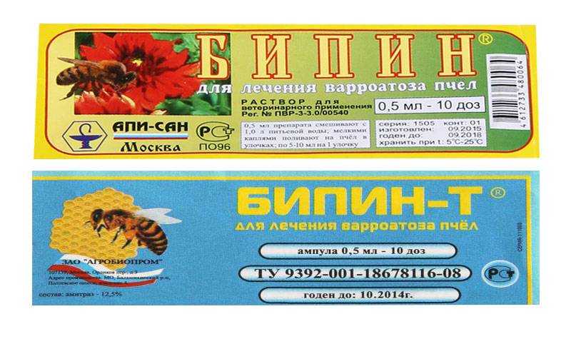 Варроатоз пчел