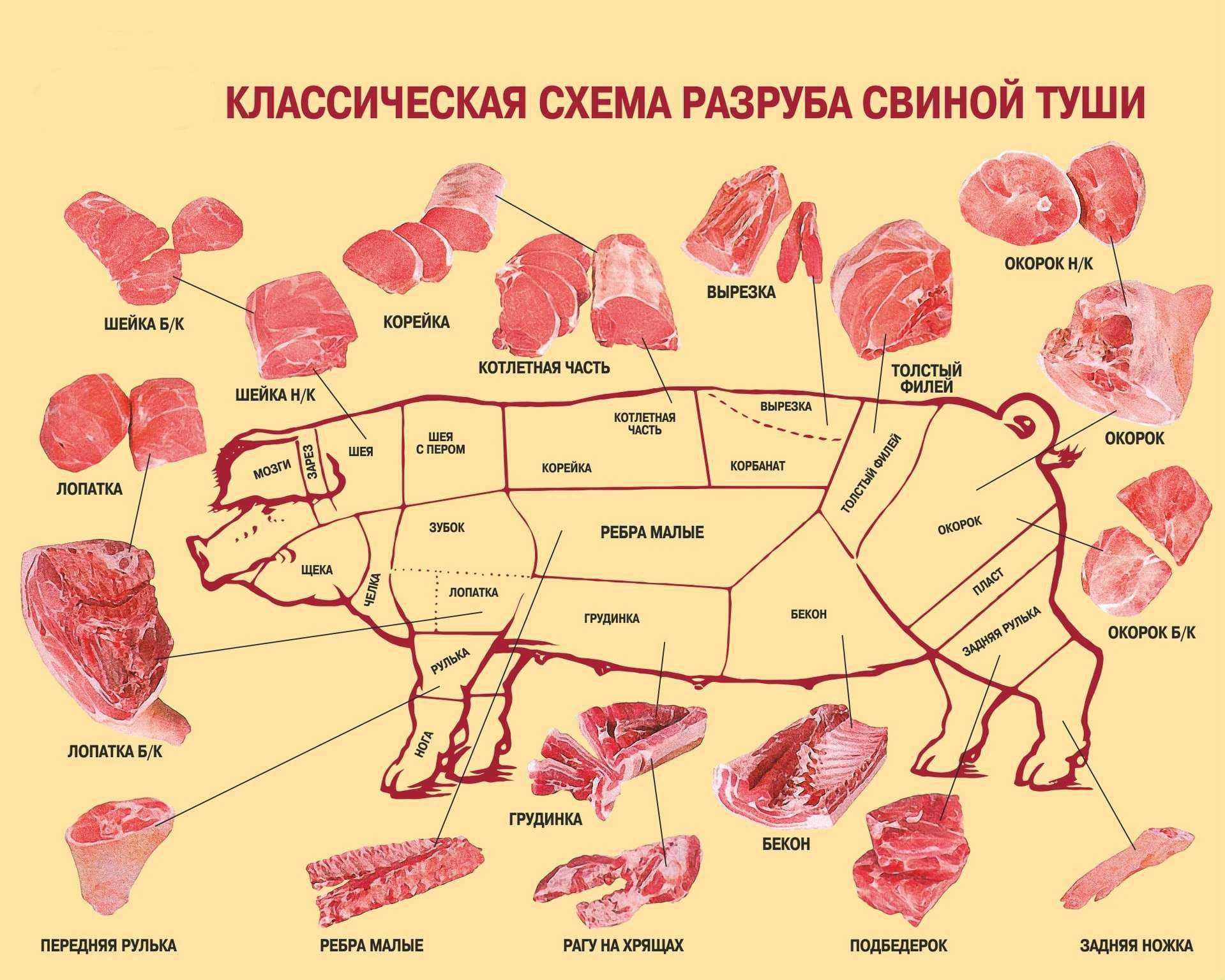 Корейка свиная — это какая часть: схема разделки туши, части свинины