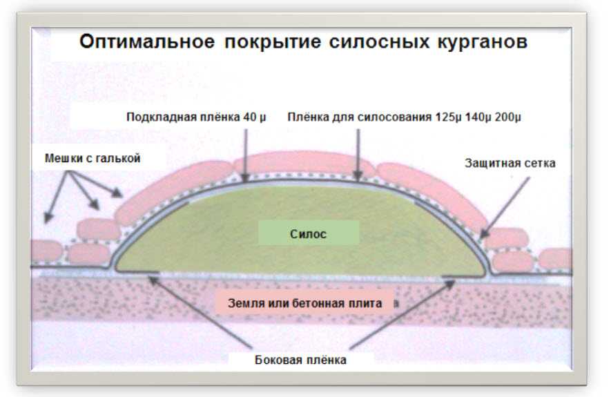 Сено, силос, сенаж - что лучше?