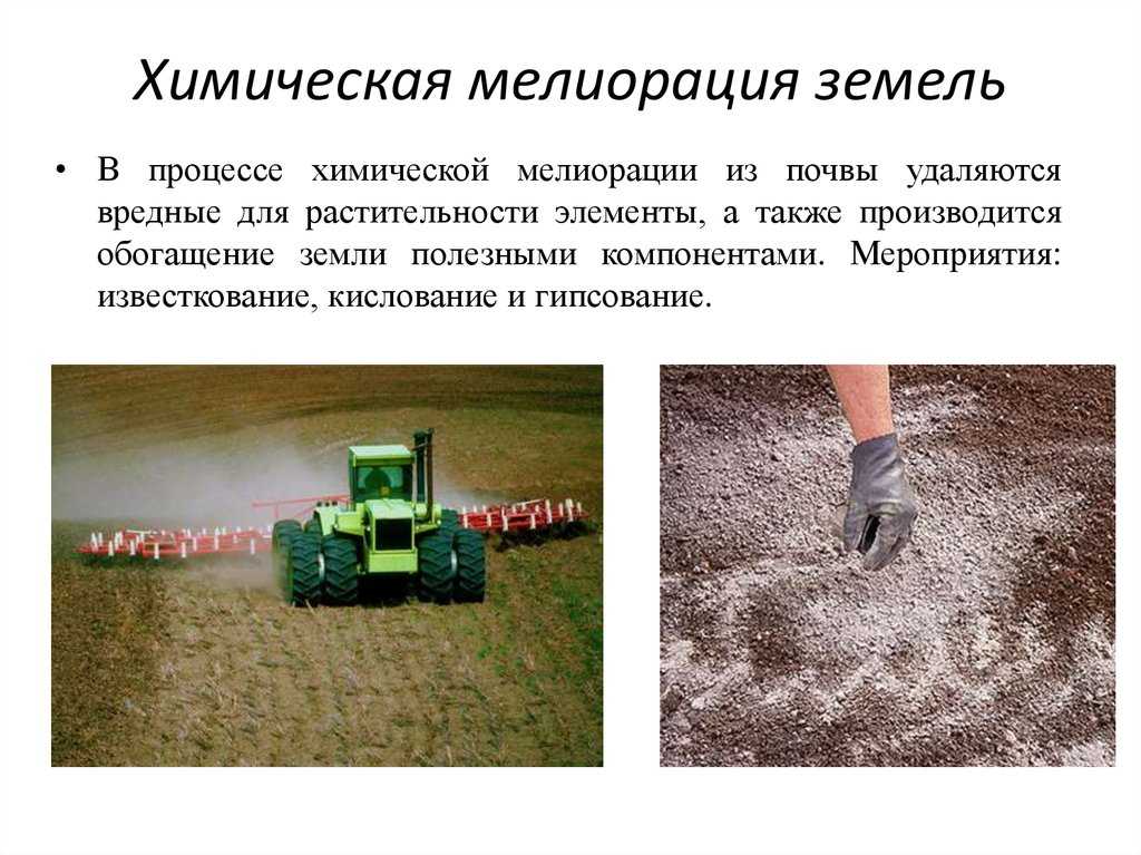 Солонцы почвы и солончаки: промывание, гипсование, кислование, фитомелиорация