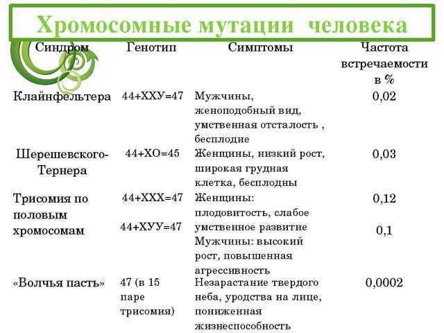 Хромосомные мутации презентация, доклад, проект на тему