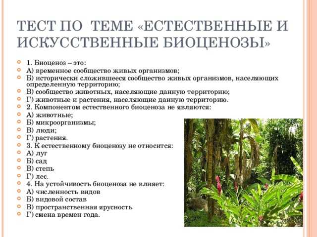 Что нужно знать об экосистемах в биологии — основные сведения
