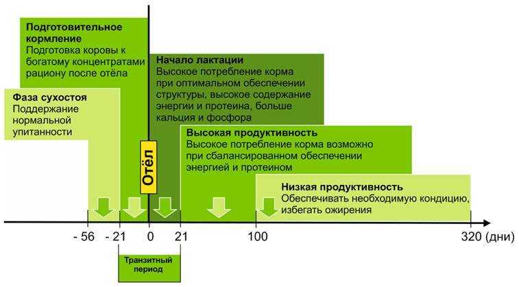 Разведение