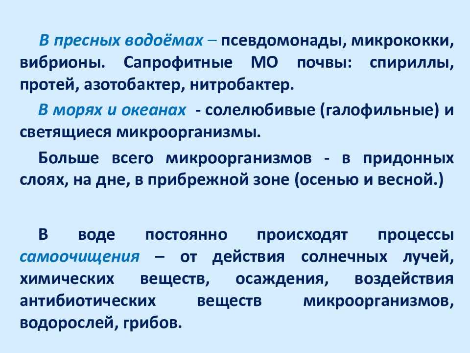 Распространение бактерий в природе