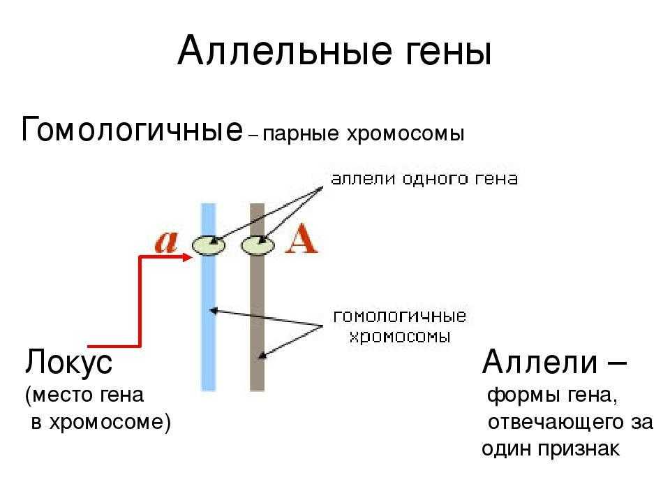 Учебник биология - вунмц 2000